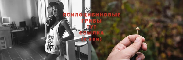 тгк Баксан
