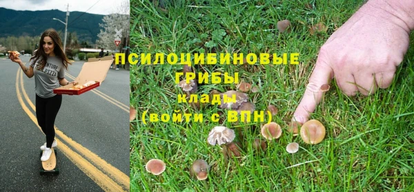 мескалин Аркадак
