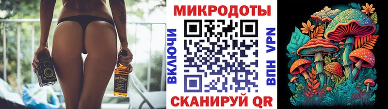 где купить наркотик  Ленск  кракен зеркало  Галлюциногенные грибы Psilocybe 